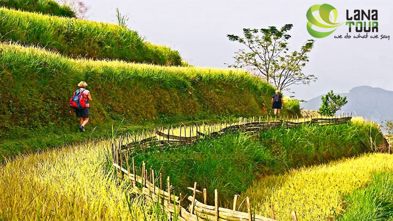 Randonnées Vietnam